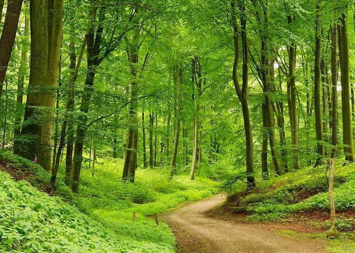 Schurwald Hotel Plochingen