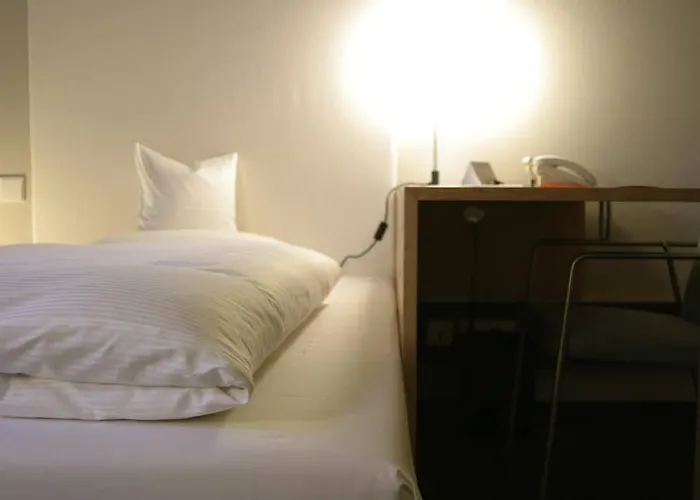 黑森林旅馆 3* 普洛兴根